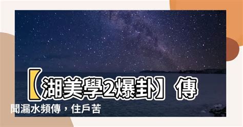 湖美學2漏水|【湖美學2】一年均價25.94萬坪，197筆交易